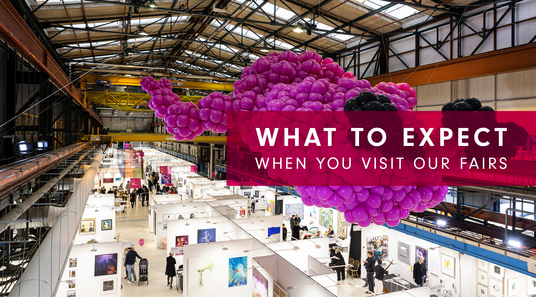 Affordable Wordpress Design Brisbane