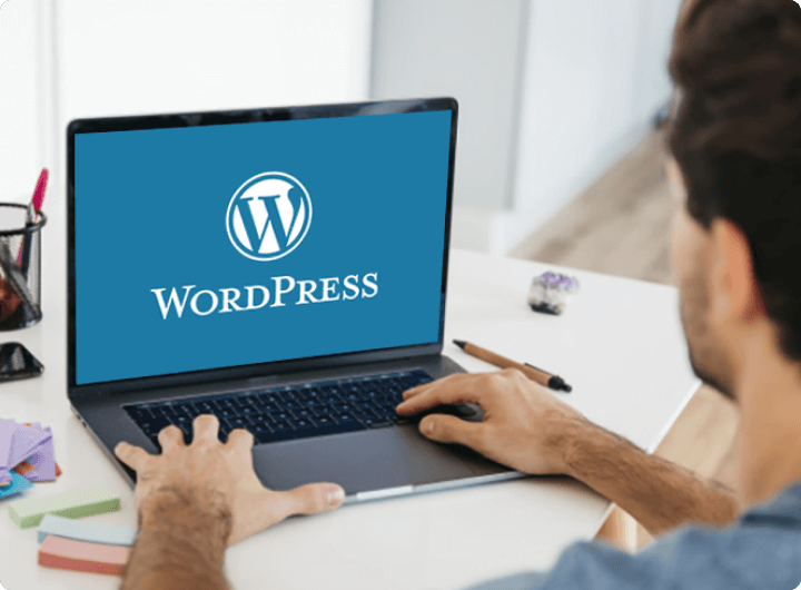 Hire Wordpress Expert Usa